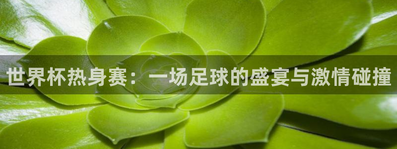 世界杯预选赛赛程表：世界杯热身赛：一场足球的盛宴与激情碰撞