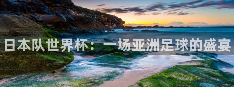 世界杯决赛圈球队：日本队世界杯：一场亚洲足球的盛宴