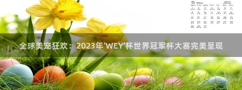 世界杯足球赛：全球美宠狂欢：2023年\'WEY\'杯世界冠军杯大赛完美呈现