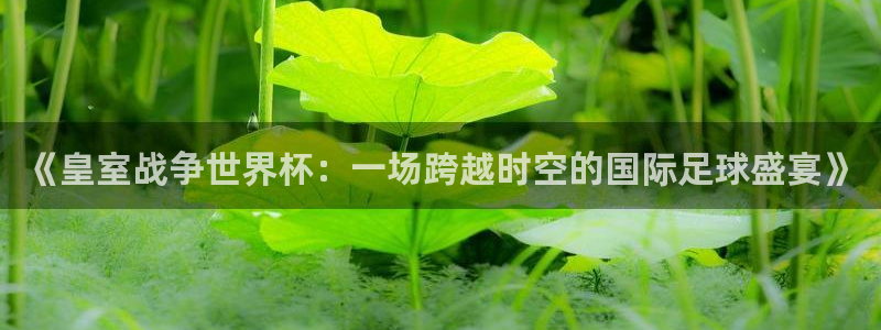 世界杯预选赛赛程：《皇室战争世界杯：一场跨越时空的国际足球盛宴》