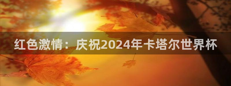 世界杯预选赛赛程：红色激情：庆祝2024年卡塔尔世界杯