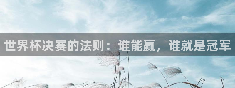 世界杯预选赛规则：世界杯决赛的法则：谁能赢，谁就是冠军