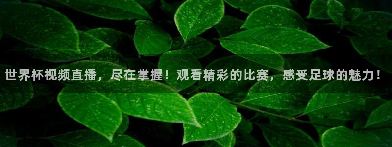 世界杯对阵表：世界杯视频直播，尽在掌握！观看精彩的比赛，感受足球的魅力！