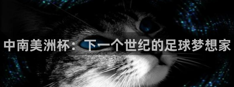 世界杯转播表：中南美洲杯：下一个世纪的足球梦想家