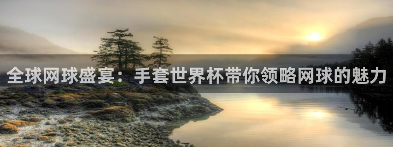 世界杯比赛直播：全球网球盛宴：手套世界杯带你领略网球的魅力