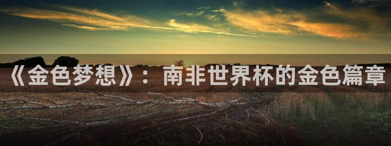 世界杯预选赛规则：《金色梦想》：南非世界杯的金色篇章