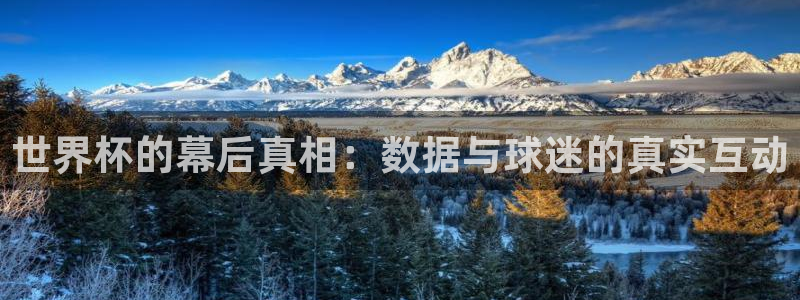 欧洲区世界杯预选赛：世界杯的幕后真相：数据与球迷的真实互动