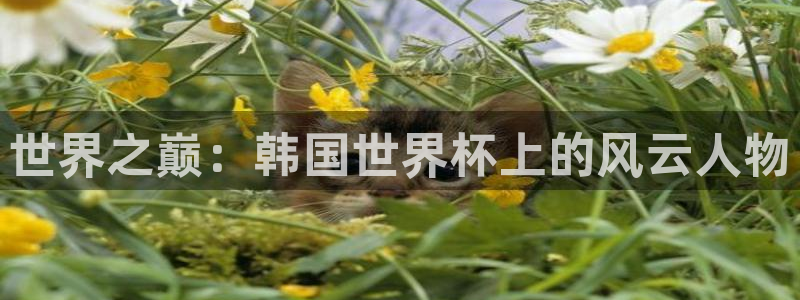 2026男足世界杯：世界之巅：韩国世界杯上的风云人物