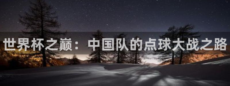 世界杯足球：世界杯之巅：中国队的点球大战之路